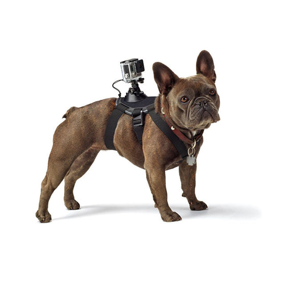 GoPro Camera Fetch Dog Mount